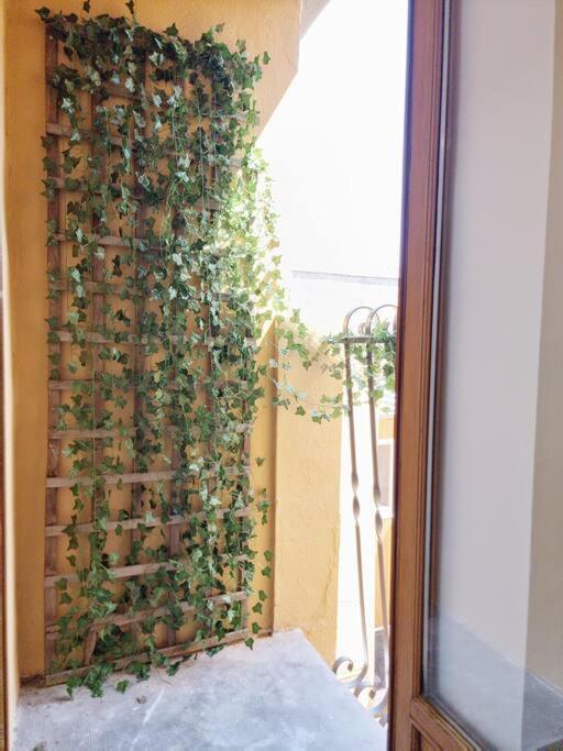 Apartament T2 Clim & Confort - Gare Matabiau - Metro - Wifi Tuluza Zewnętrze zdjęcie